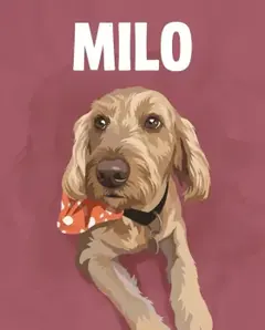 Pet portrait — Modern style
