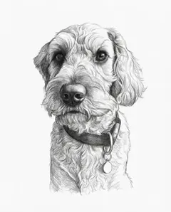Pet portrait — Pencil Sketch style